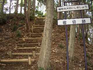 c0051112_7594635.jpg