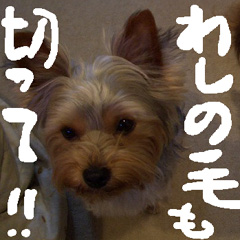 c0036617_7423460.jpg