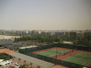 d0038319_20441915.gif