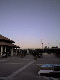d0038319_204871.gif