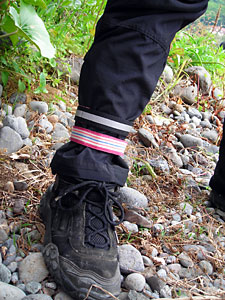 d0023725_1015011.jpg