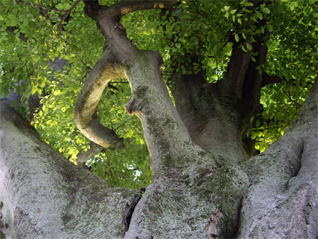 f0128527_7442321.jpg