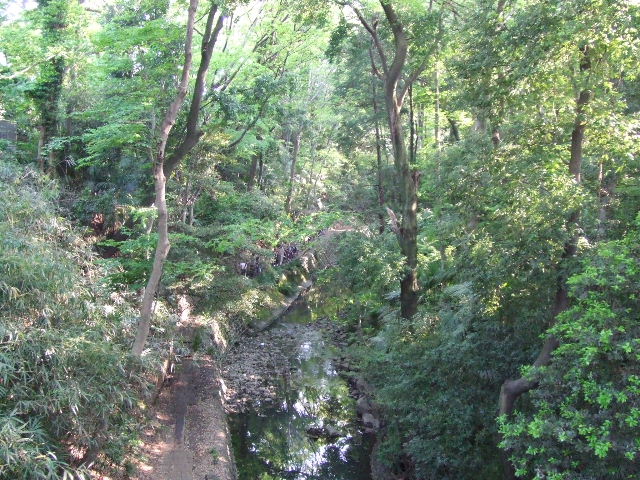 c0071545_9145277.jpg