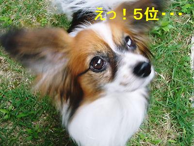 e0100046_21425281.jpg