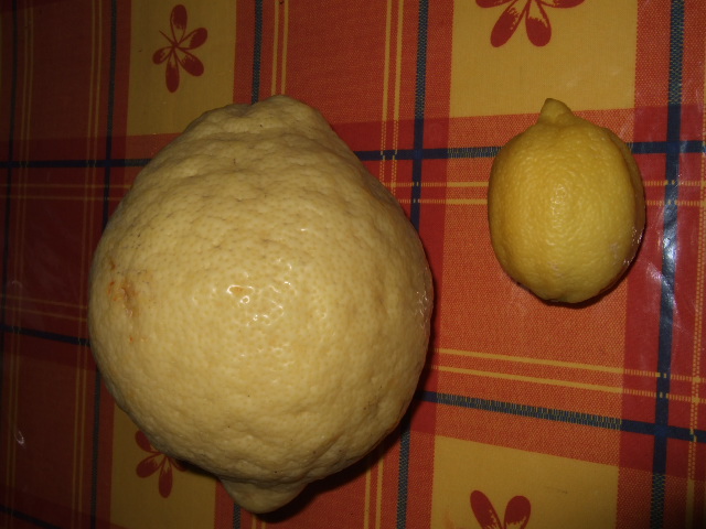 e0104154_7111.jpg