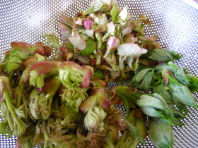 b0086858_1325985.jpg