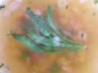 b0086858_13355794.jpg