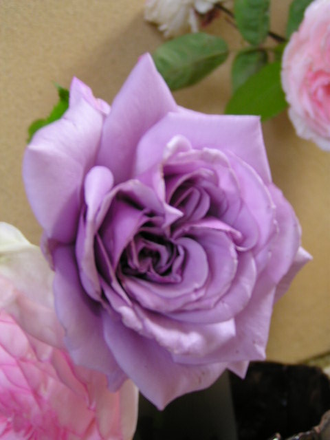 f0074659_2249148.jpg
