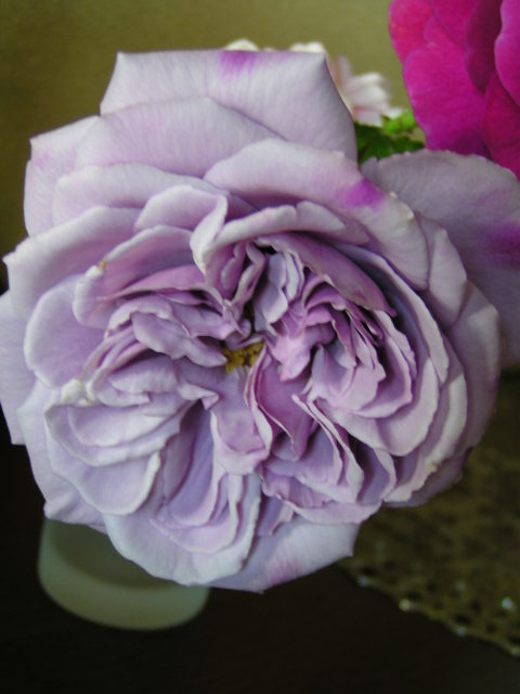 f0074659_23104674.jpg