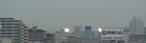 d0083265_08193.jpg
