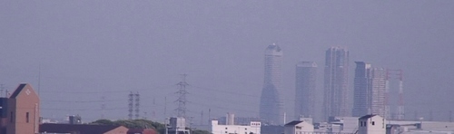 d0083265_197213.jpg