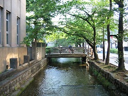 e0041168_1023542.jpg