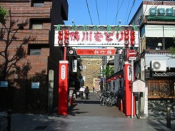 e0041168_9424565.jpg