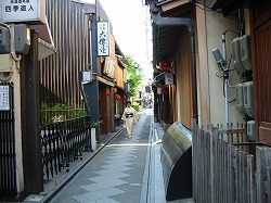e0041168_945554.jpg