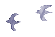 f0123373_9434039.gif