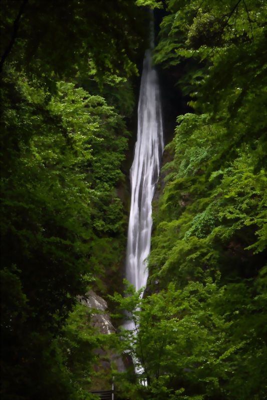 f0105478_2152126.jpg
