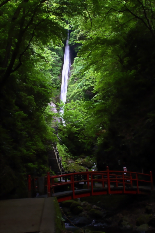 f0105478_2152583.jpg