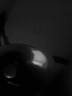 f0100480_10313330.jpg