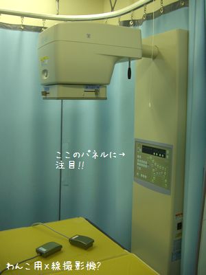 b0000885_6262188.jpg
