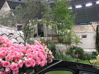 f0100289_22171636.jpg