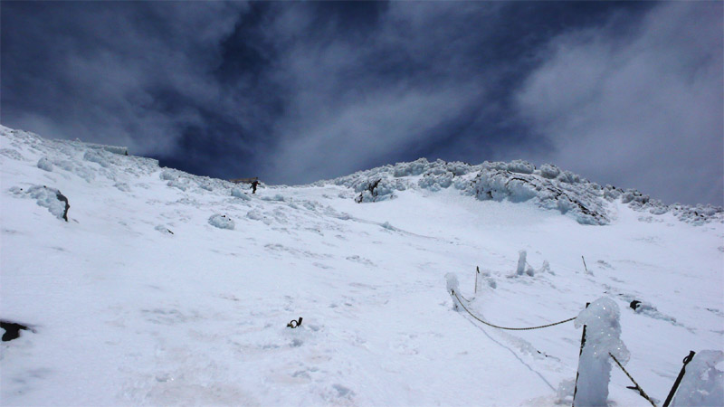 b0046290_6134852.jpg