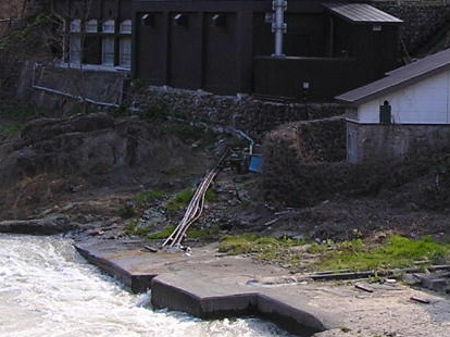 a0067991_956044.jpg