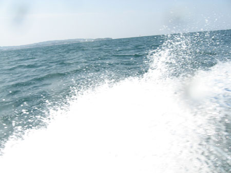 a0087302_21461212.jpg