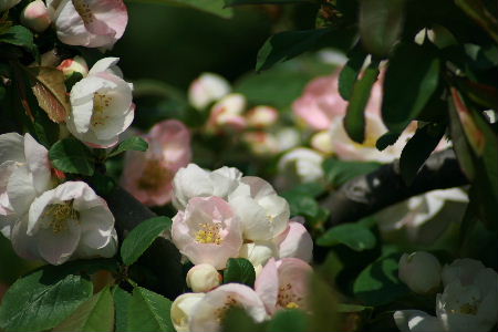 f0041606_21212351.jpg