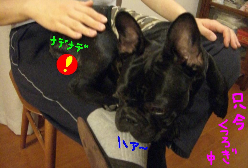 c0113109_0105799.jpg