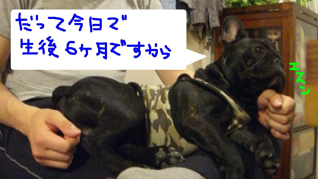 c0113109_0112260.jpg