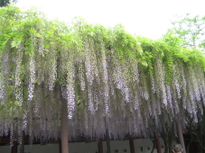 f0024409_18331570.jpg