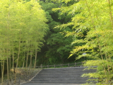 f0024409_18411410.jpg