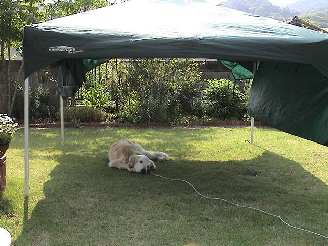 a0052512_1434027.jpg