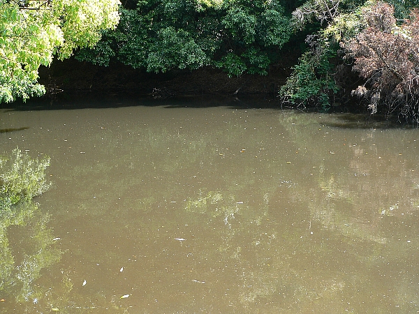 e0002314_22281063.jpg