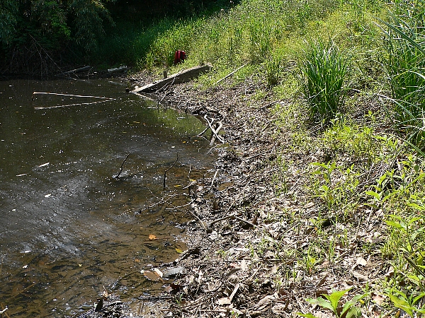 e0002314_22284758.jpg