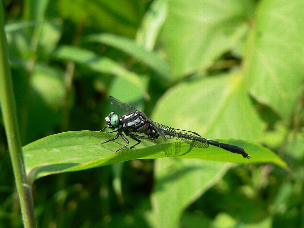 e0002314_22312453.jpg