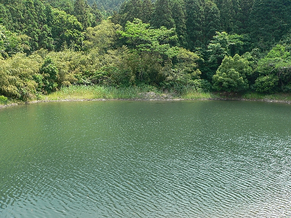 e0002314_22363523.jpg
