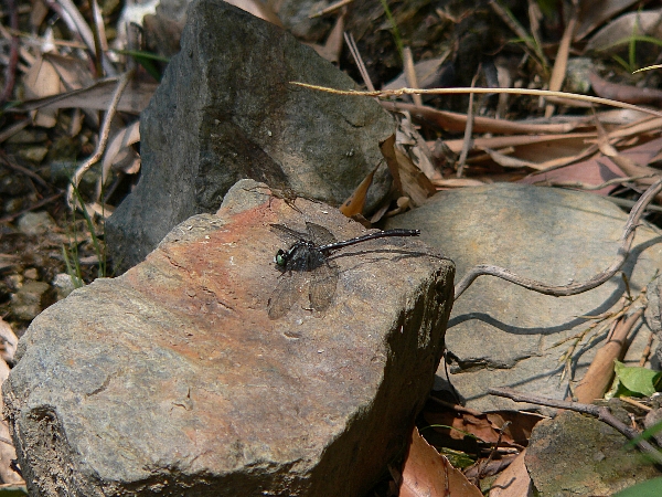e0002314_22381124.jpg