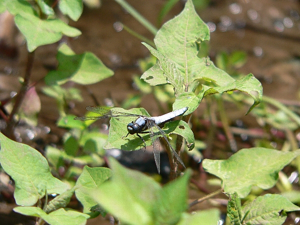 e0002314_22453357.jpg