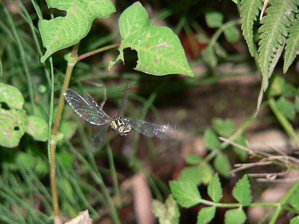 e0002314_2247456.jpg