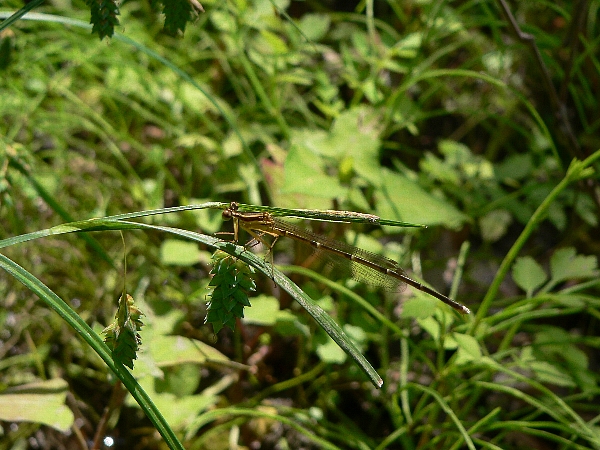 e0002314_22483061.jpg