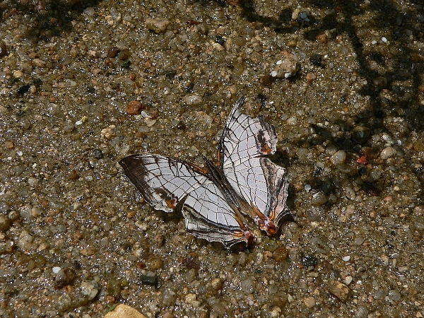 e0002314_22513456.jpg