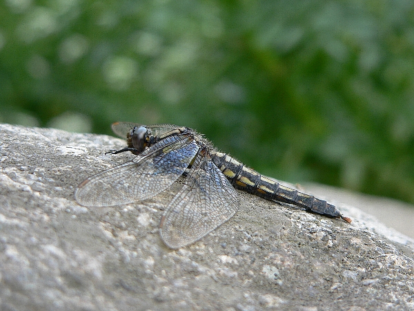 e0002314_22514785.jpg