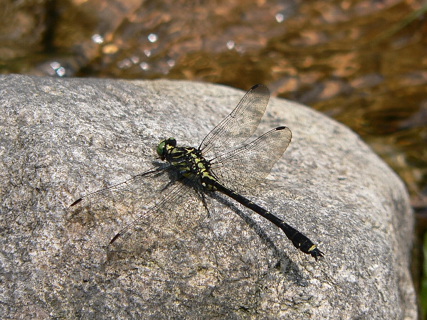 e0002314_2252561.jpg
