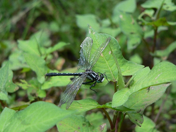 e0002314_22575497.jpg