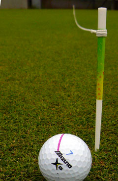 e0083517_218644.jpg