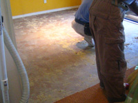 c0012120_1538410.jpg