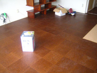 c0012120_1542356.jpg