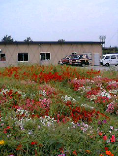 a0020622_11253722.jpg