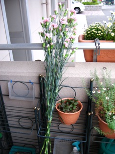 c0124322_06852.jpg